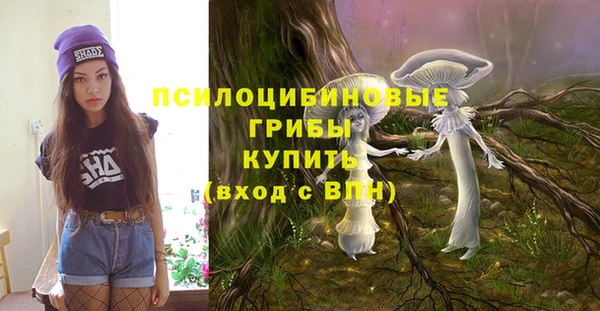соль ск Арсеньев